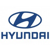 Prepravné boxy pre Hyundai