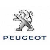 Prepravné boxy pre Peugeot